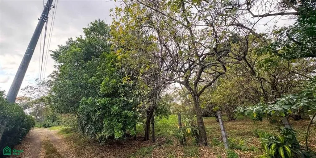 Amplio Lote de 8,548 m² en Venta en Santo Domingo de Heredia, photo 8