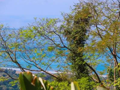 BUILDING PROPERTY WITH PANORAMIC VIEWS OF THE OCEAN AND VALLEY, IN UVITA – 1.4 ACRES, photo 27