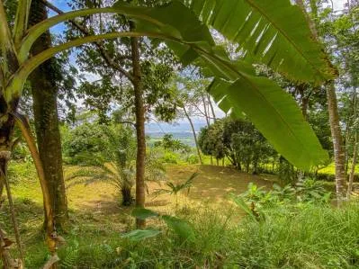 BUILDING PROPERTY WITH PANORAMIC VIEWS OF THE OCEAN AND VALLEY, IN UVITA – 1.4 ACRES, photo 29