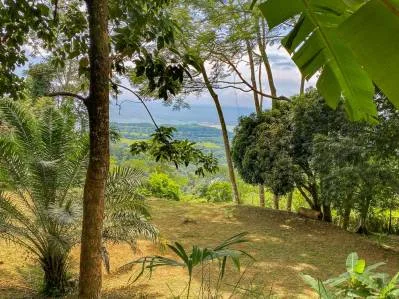 BUILDING PROPERTY WITH PANORAMIC VIEWS OF THE OCEAN AND VALLEY, IN UVITA – 1.4 ACRES, photo 30