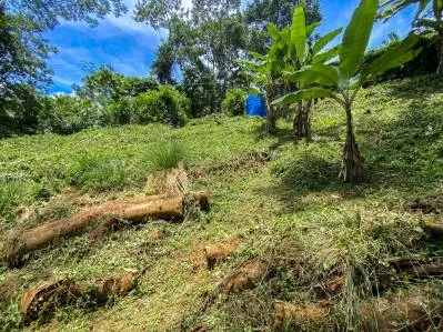 BUILDING PROPERTY WITH PANORAMIC VIEWS OF THE OCEAN AND VALLEY, IN UVITA – 1.4 ACRES, photo 31