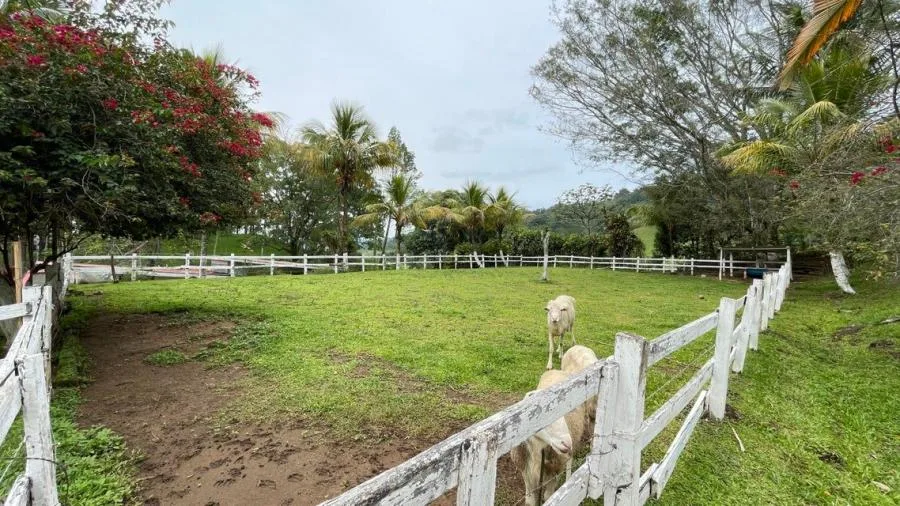 VENTA DE FINCA EN PURISCAL PBR - Venta en Puriscal, photo 4