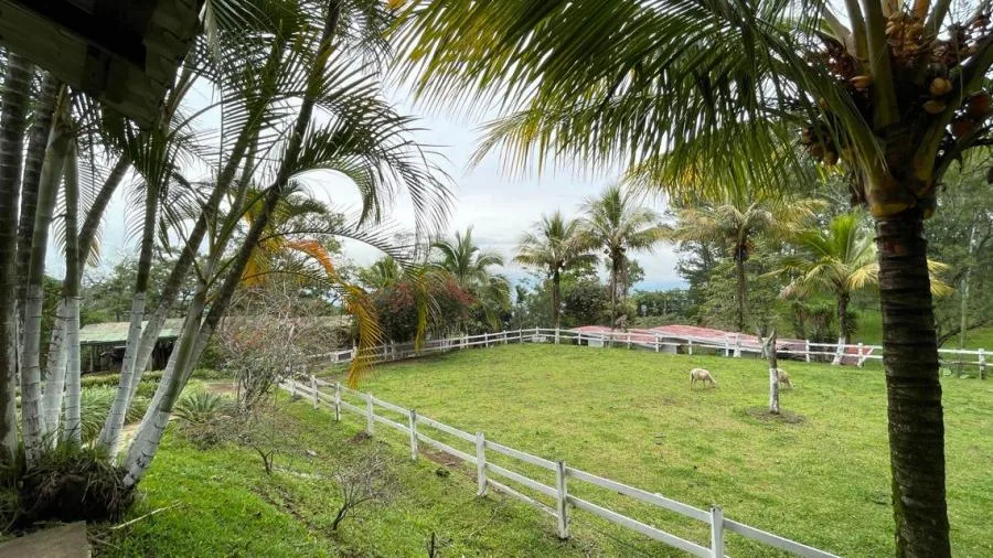 VENTA DE FINCA EN PURISCAL PBR - Venta en Puriscal, photo 6