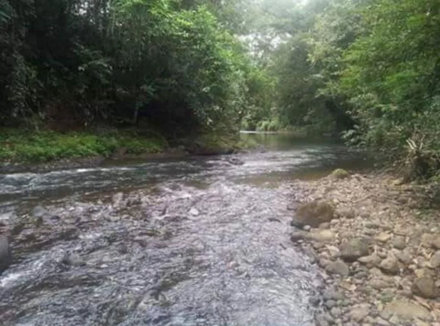VENTA DE FINCA EN PURISCAL PBR - Venta en Puriscal, photo 10