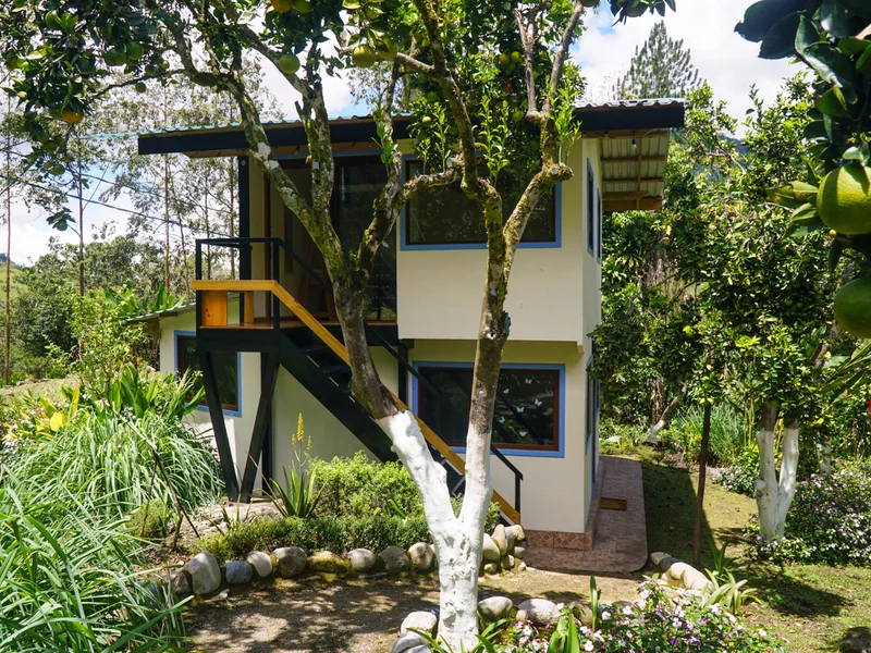 5 Bed Single Family Homes For Sale in Perez Zeledon, photo 8