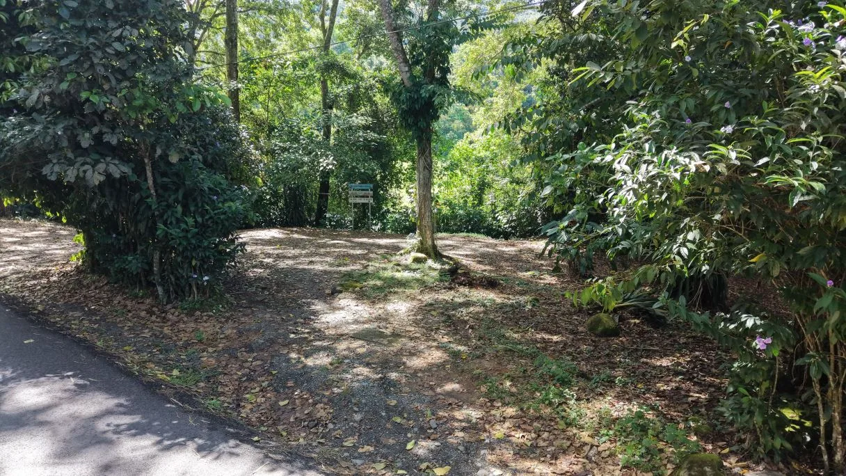4,167 m² Land for Sale in Guadalupe de Rivas: Paved Road Access and Chirripó River Frontage H2
