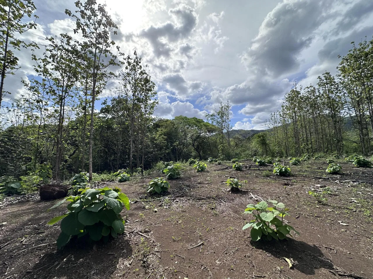 Lote en Venta en Nicoya ,Nicoya