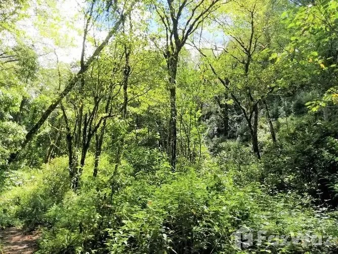 Land for Sale in Perez Zeledon, San Jose for $605,600, photo 6
