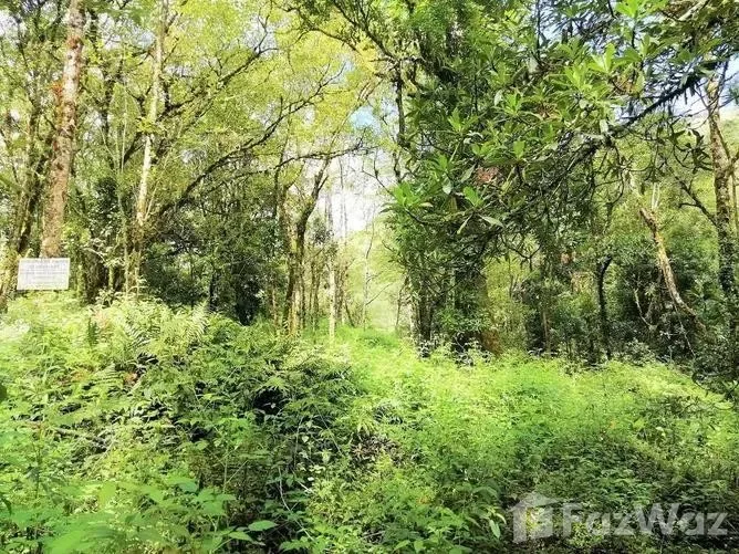 Land for Sale in Perez Zeledon, San Jose for $605,600, photo 7