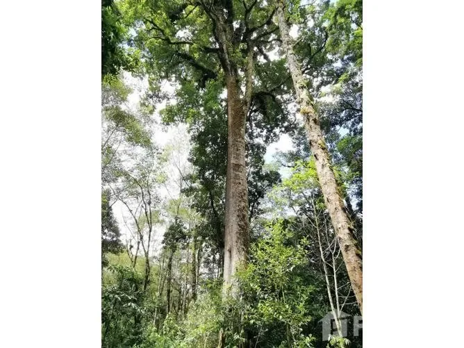 Land for Sale in Perez Zeledon, San Jose for $605,600, photo 8