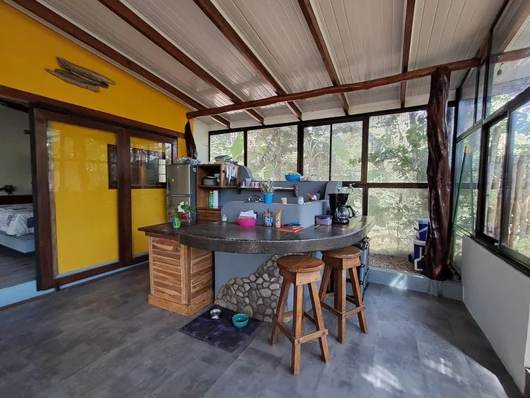 House in Playa Samara