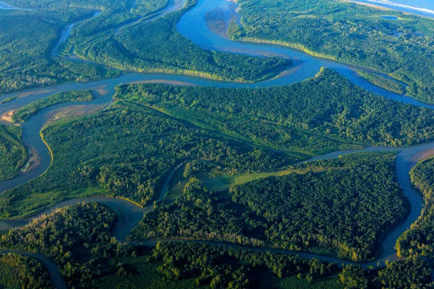 61 hectáreas de potencial ecológico y turístico en Sierpe, Osa