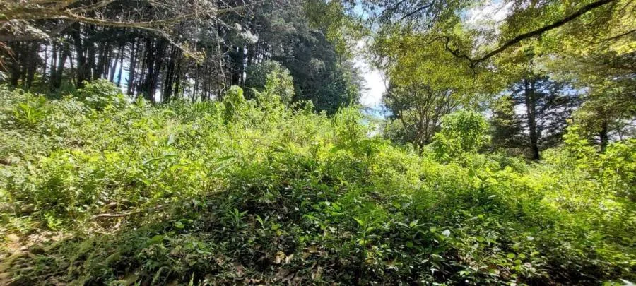 TERRENO EN VENTA EN SAN RAFAEL DE HEREDIA RAH 231739 - Venta en San Rafael, photo 5