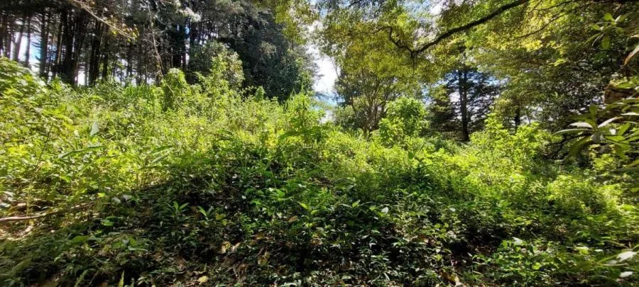 TERRENO EN VENTA EN SAN RAFAEL DE HEREDIA RAH 231739 - Venta en San Rafael, photo 6