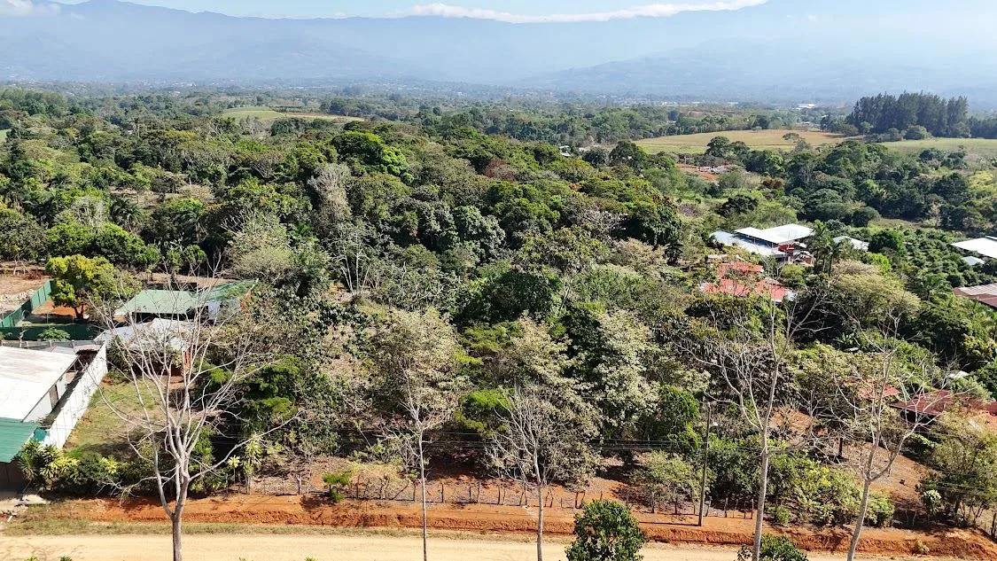 Land for sale in La Ceniza, Perez Zeledon, photo 6