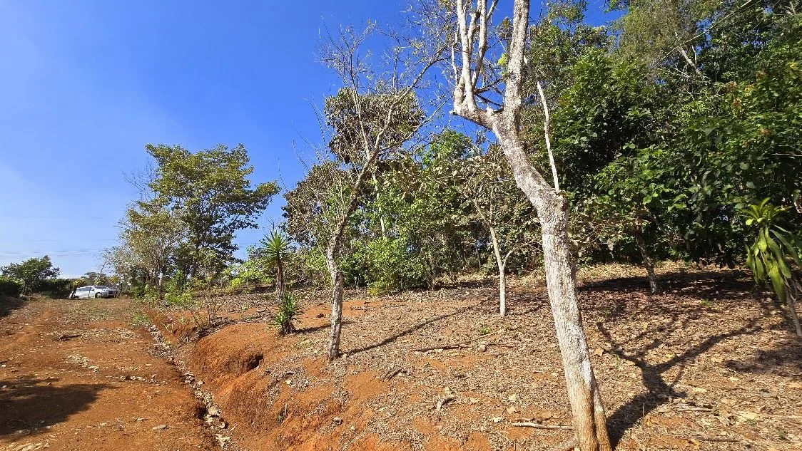 Land for sale in La Ceniza, Perez Zeledon, photo 7