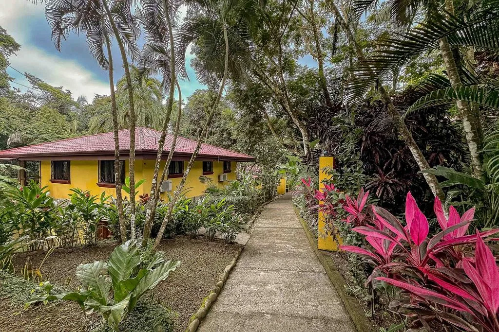 Two Fully Furnished Units with Separate Entrances Income Generating Duplex Near Beaches