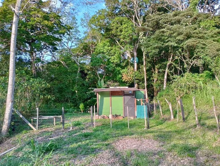 Jungle Paradise: Off Grid Studio Cabina Bordered By A Creek-Perfect For The Nomad Lifestyle, photo 3