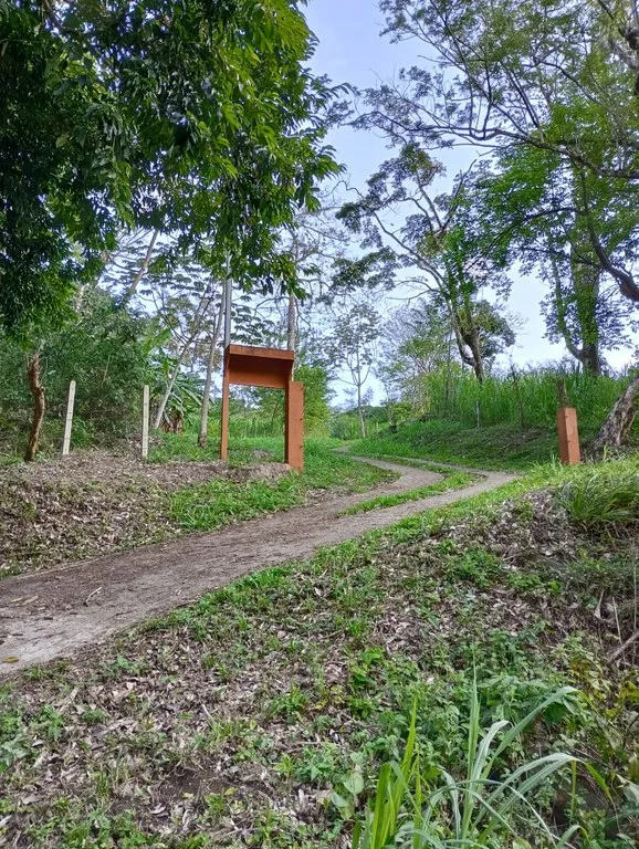 Jungle Paradise: Off Grid Studio Cabina Bordered By A Creek-Perfect For The Nomad Lifestyle, photo 4