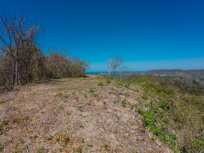 Land For Sale in Nosara, photo 4