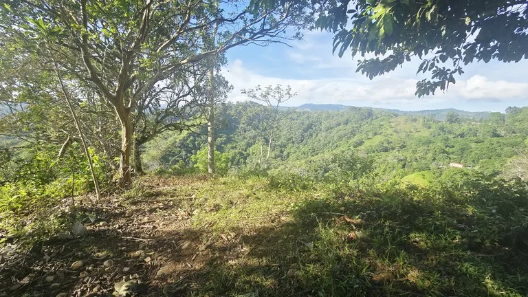 Agricultural Land in San Isidro del General