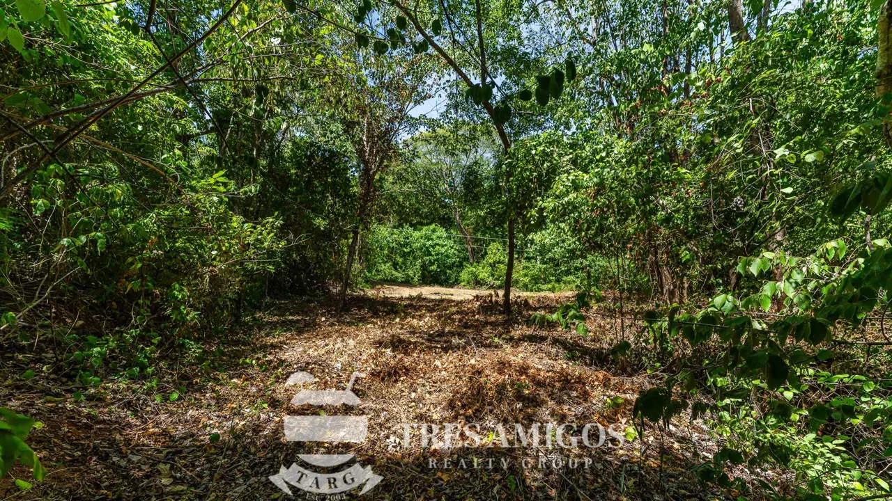 Lomas del Mar Lot 254, photo 11