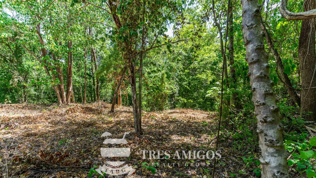 Lomas del Mar Lot 254, photo 12