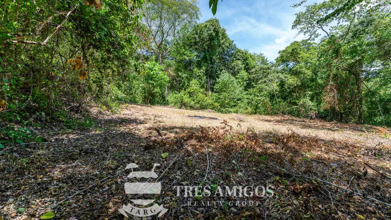 Lomas del Mar Lot 254, photo 15