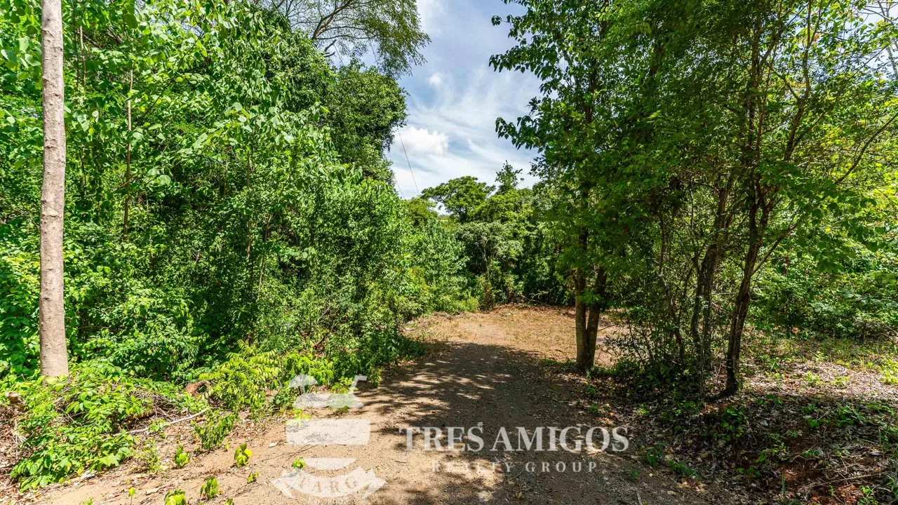 Lomas del Mar Lot 254, photo 7
