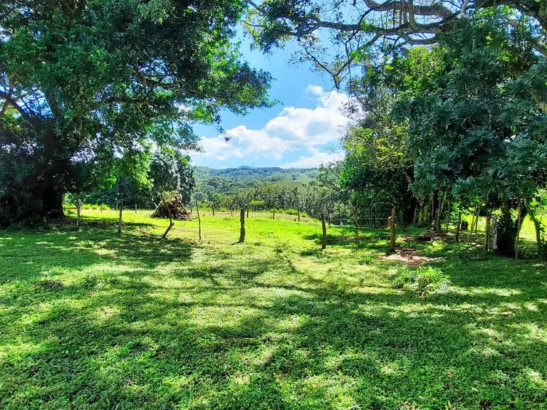 House in Quebrada Azul, photo 12