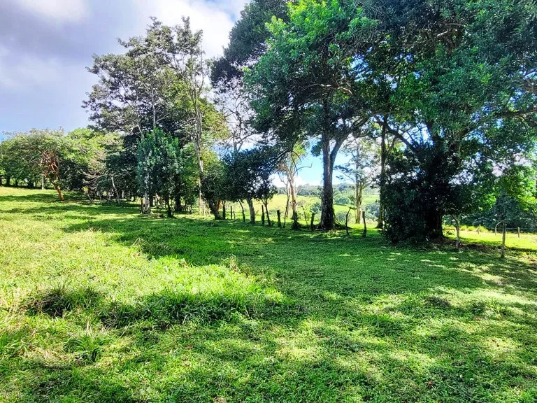 House in Quebrada Azul, photo 13