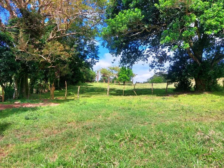 House in Quebrada Azul, photo 3