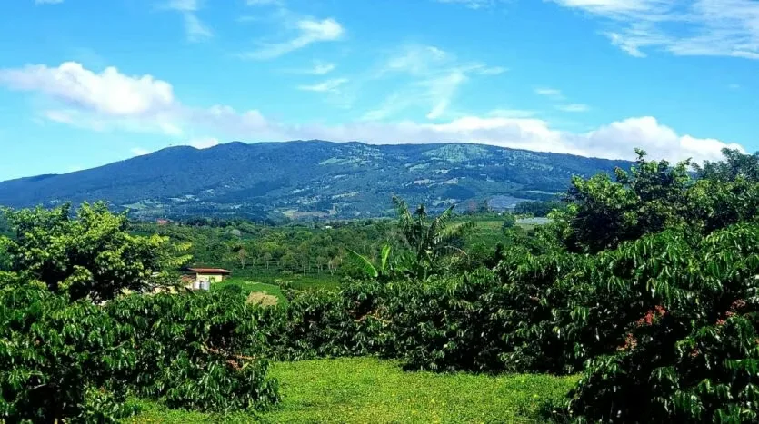 Beautiful Lots for Sale at an OPPORTUNITY Price!, photo 6