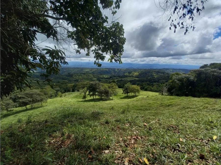 Finca con vistas panorámicas en Alto de la Esperanza – Pérez Zeledón