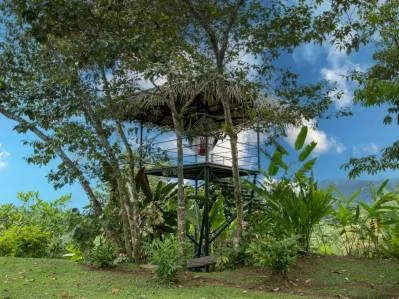 PROPERTY WITH THREE BEDROOM AND PANORAMIC VIEWS OF THE OCEAN, IN OJOCHAL – 0.54 ACRES, photo 27