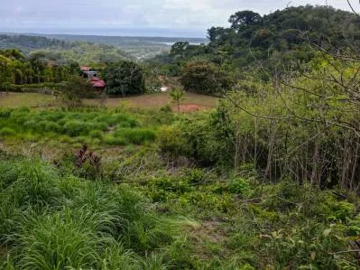 Lovely Ocean View Land with Several Building Sites, photo 2