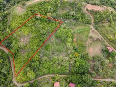 Lovely Ocean View Land with Several Building Sites, photo 3