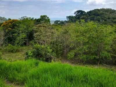 Lovely Ocean View Land with Several Building Sites, photo 6