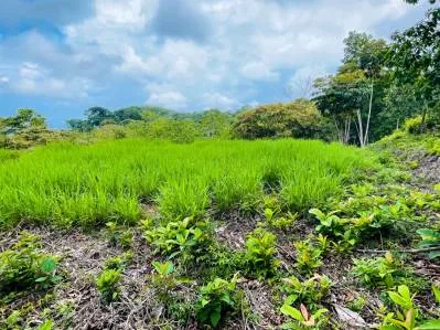 Lovely Ocean View Land with Several Building Sites, photo 9