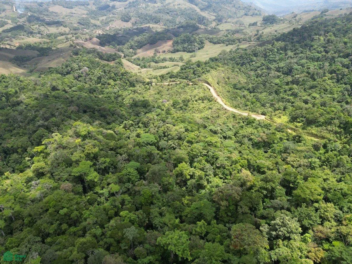 San Isidro, Puntarenas, Puntarenas 11901