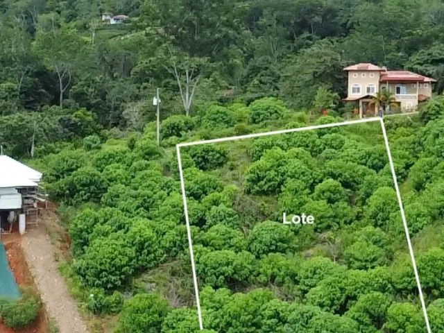 Ocean View Lot in Ojochal
