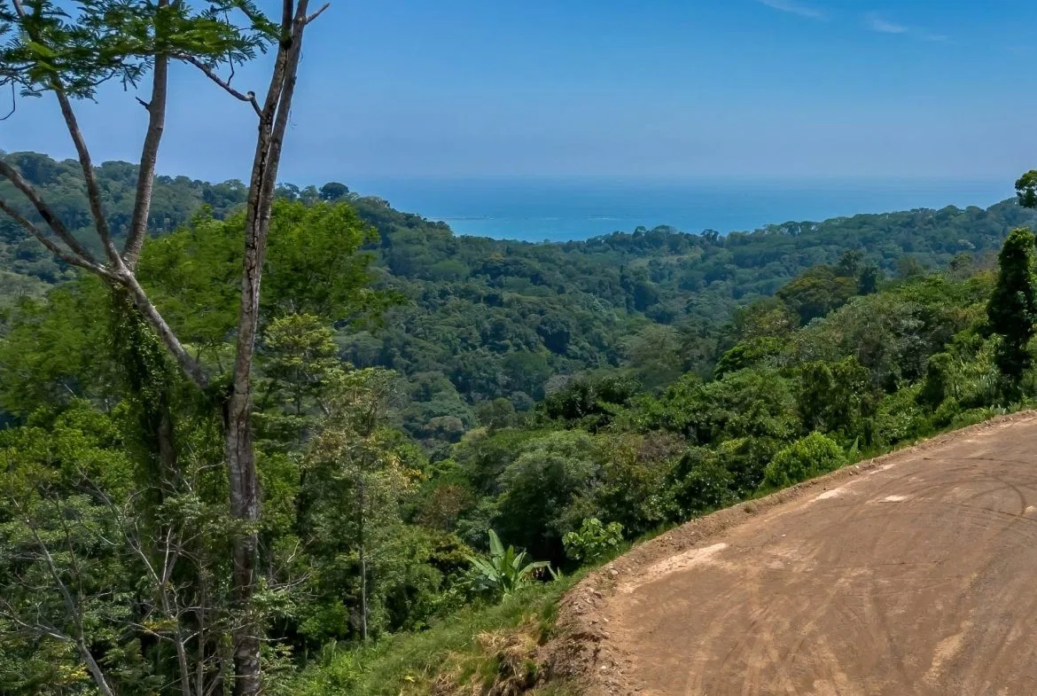 PROPERTY WITH OCEAN VIEW IN SAN JOSECITO- 2.3 ACRES, photo 12