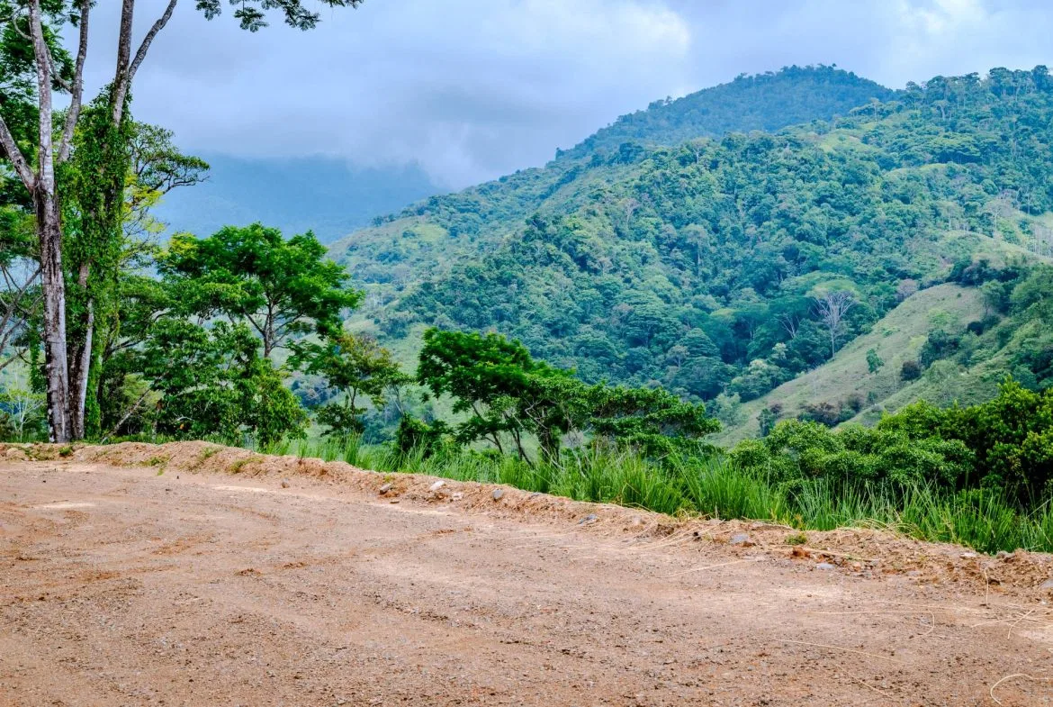 PROPERTY WITH OCEAN VIEW IN SAN JOSECITO- 2.3 ACRES, photo 20