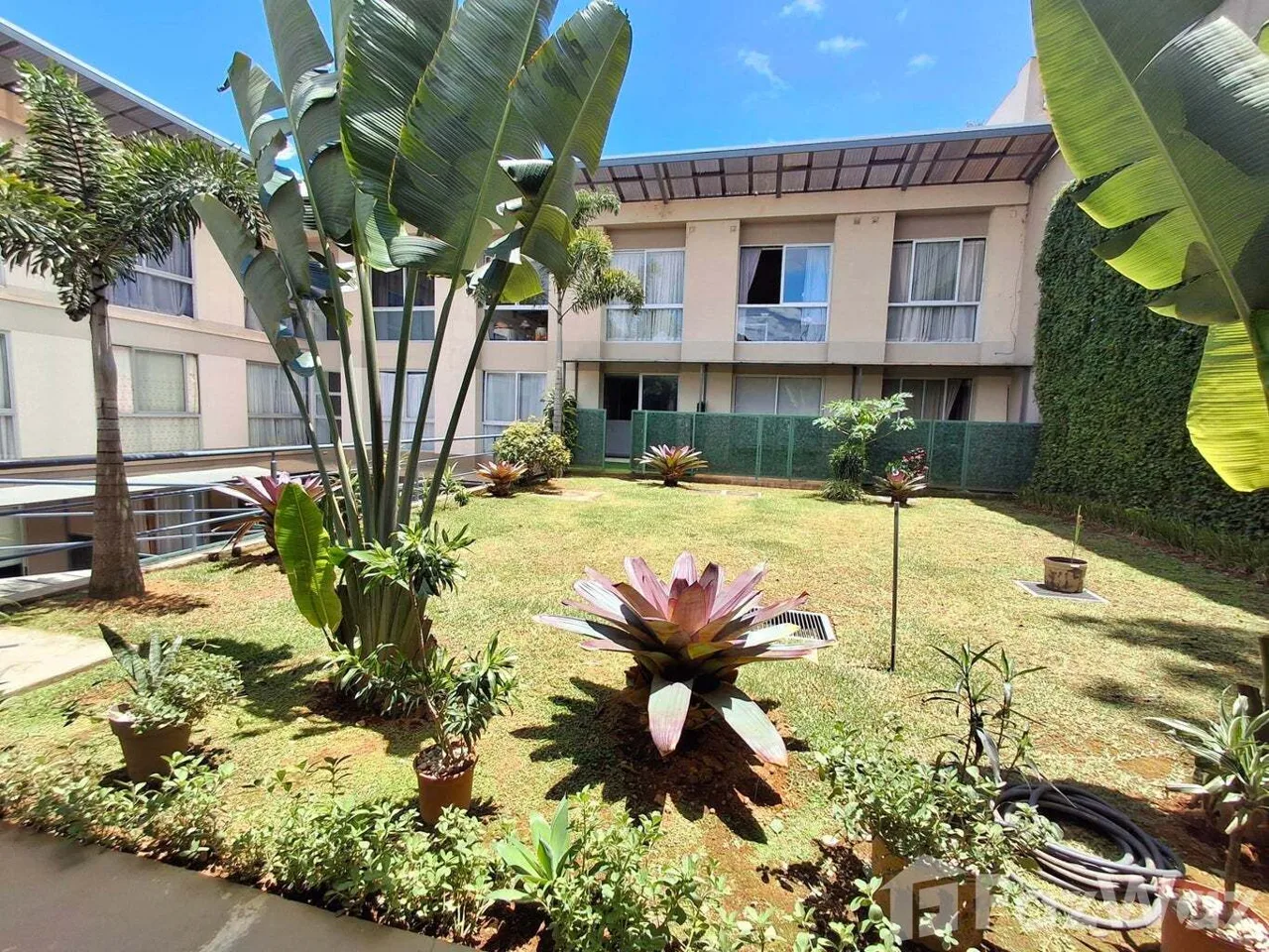 1 Bedroom Apartment for Rent at Montes de Oca for $700/mo, photo 4