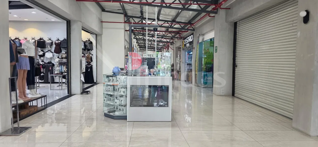 Alquiler de local en Centro Comercial en Alajuelita