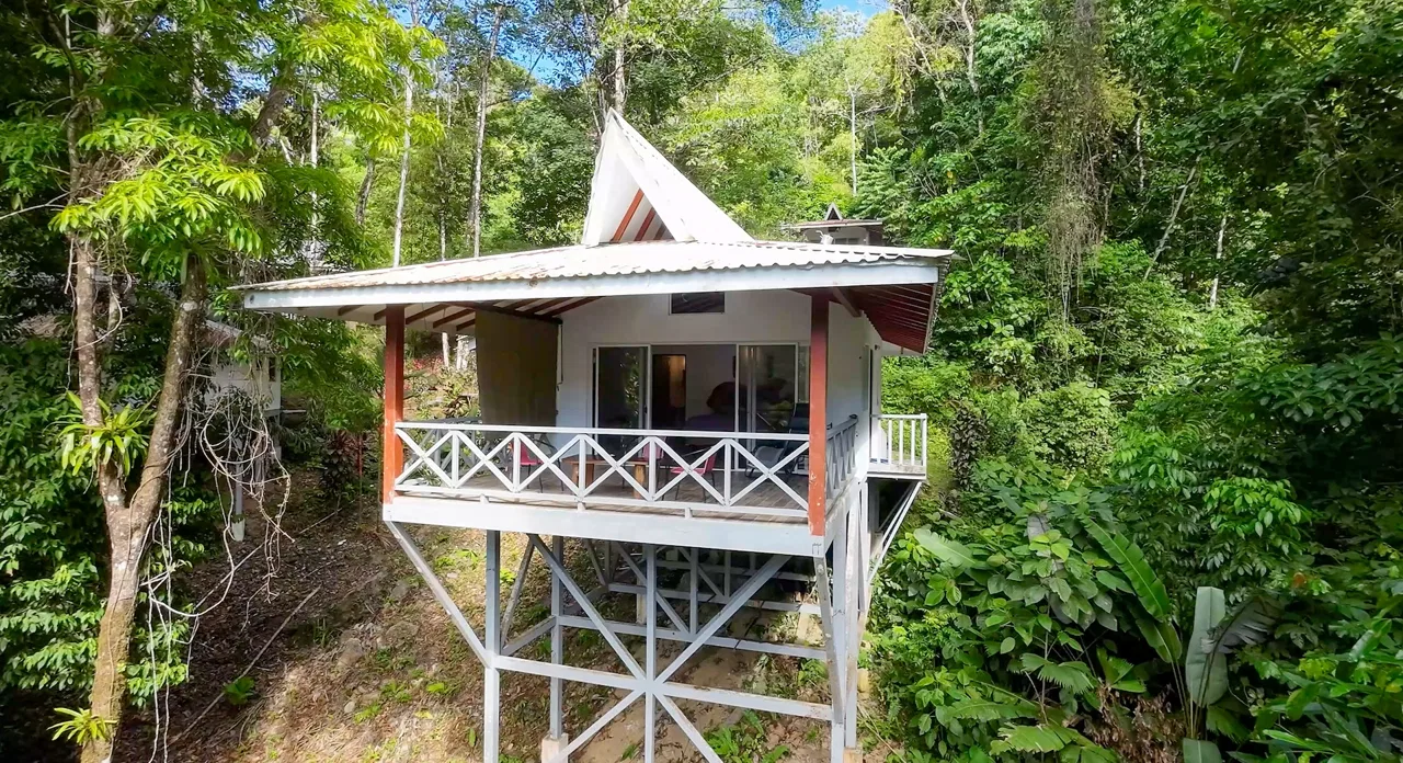 PROPERTY WITH FOUR CABINS AND A BEAUTIFUL CASCADE WITH CREEK, IN TRES RIOS – 2.45 ACRES, photo 19