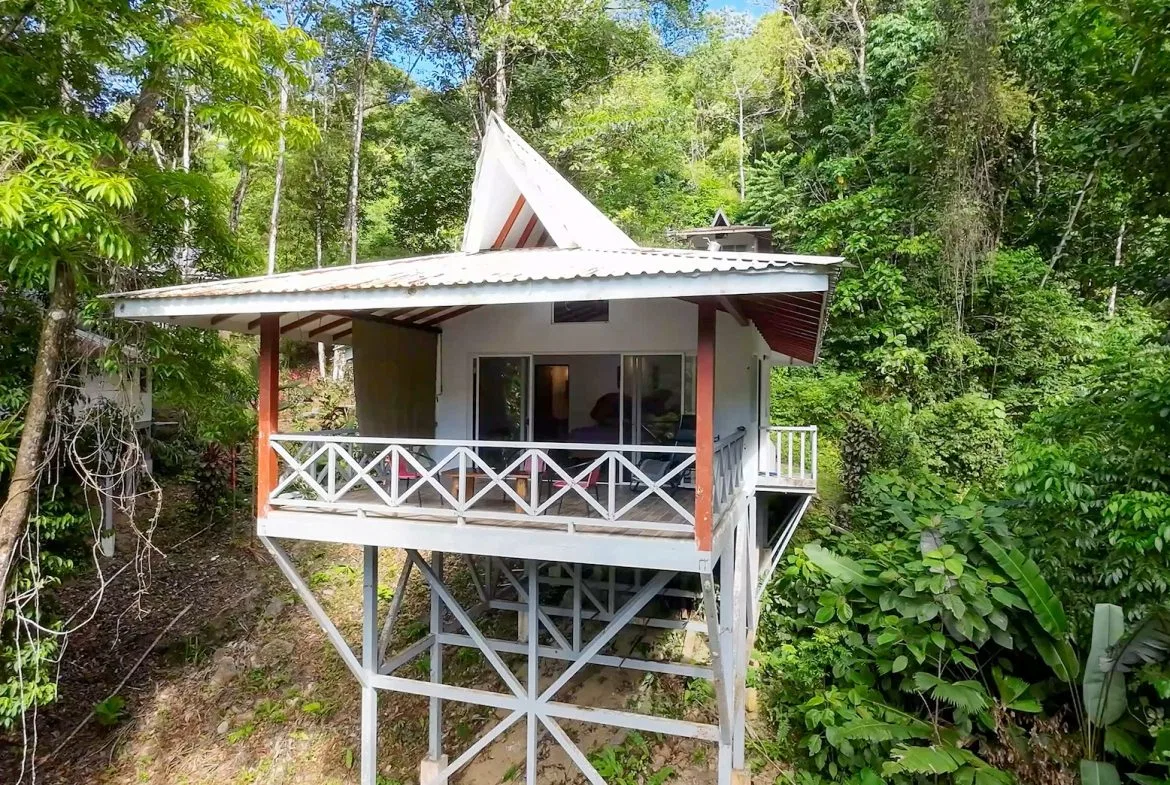 PROPERTY WITH FOUR CABINS AND A BEAUTIFUL CASCADE WITH CREEK, IN TRES RIOS – 2.45 ACRES, photo 20