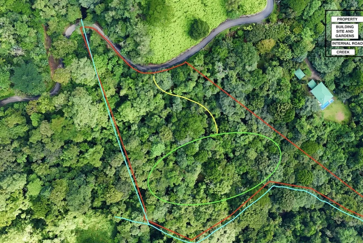 MOUNTAIN BUILDING PROPERTY WITH A CREEK, IN SAN JOSECITO – 5.9 ACRES, photo 2