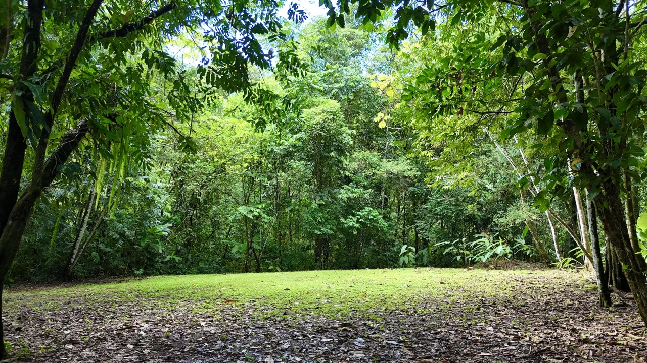 MOUNTAIN BUILDING PROPERTY WITH A CREEK, IN SAN JOSECITO – 5.9 ACRES, photo 21