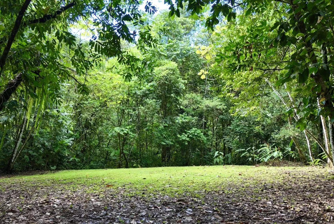 MOUNTAIN BUILDING PROPERTY WITH A CREEK, IN SAN JOSECITO – 5.9 ACRES, photo 22